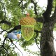 Acorn-shaped metal bird feeder with green mesh, ideal for outdoor gardens, attracting wild birds to your yard.