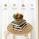 Backless dining chair set made of solid wood, featuring a stackable design and ergonomic edges for comfort.