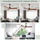52-inch modern ceiling fan with brushed nickel finish, featuring downrod mount and angled-mount for sloped ceilings.