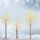 Three pre-lit white twig birch trees with 48 LED lights, perfect for festive indoor holiday decoration.