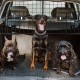 Folding pet divider gate in an SUV with three dogs, featuring adjustable design and heavy-duty metal frame for safety.