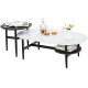 Modern nesting coffee table set with faux marble and wood grain design, featuring a large table and small side table.