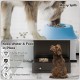 Pet feeder station with stainless steel bowls and storage cabinet, designed for easy access and organization of pet.