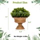 Artificial boxwood topiary tree in a golden pot, 11 inches tall, perfect for home or office decoration.