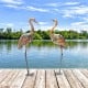 Set of 2 metal crane garden statues with U-shaped stakes, featuring detailed feathers for charming outdoor decoration.