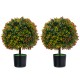 Two artificial boxwood topiary ball trees with orange fruit in black pots, perfect for home decoration and low.