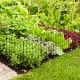 Decorative garden fence set with a rustproof metal frame, surrounding vibrant herbs and greens for plant protection.