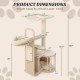 Multi-level cat tree dimensions showing a 55-inch tall design with removable cushions and stable construction for.