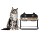 Elevated pet feeder with 2 stainless steel bowls, adjustable height, and natural bamboo for comfortable feeding.