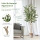 6 feet artificial olive tree with 1264 leaves and 72 fruits in a cement pot, ideal for indoor and outdoor decoration.