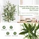 6-foot artificial olive tree with 1264 silk leaves and cement pot, perfect for indoor or outdoor decoration.