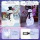 Lighted snowman decoration with 70 cool-white LED lights and redbirds, perfect for indoor or outdoor Christmas decor.