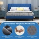 Queen size upholstered platform bed with blue button tufted wingback headboard, featuring solid wood legs and under-bed.