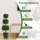 35-inch artificial boxwood topiary tree in a cement-filled pot, requiring no maintenance for a vibrant indoor display.