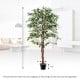 Tall artificial ficus tree with 1008 leaves, solid wood trunk, and adjustable branches for indoor decoration.