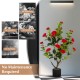 38-inch artificial camellia tree with red flowers in a cement pot, requiring no maintenance for year-round decor.