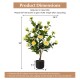 38-inch artificial camellia tree with yellow flowers in a cement pot, perfect for year-round decoration without.