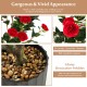 Artificial 38-inch camellia tree with red flowers and glossy pebbles in a cement pot, perfect for year-round decoration.