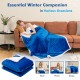 Reversible blue electric heated blanket throw in flannel and sherpa, perfect for warmth while resting or sleeping.