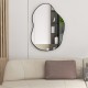Irregular 22"x30.5" wall-mounted mirror with black frame, showcasing unique design and high-definition reflection.