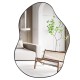 Irregular wall-mounted mirror with black edge, 22x30.5 inches, featuring a unique design for stylish interior decor.