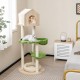Cat climbing stand featuring a solid pine wood base, sisal scratching posts, and soft green platforms for indoor.
