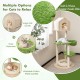 55-inch tall cat climbing stand with sisal scratching posts, soft cat bed, and green platforms for indoor kittens.