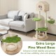 Extra large cat climbing stand with soft cat bed, sisal scratching posts, and pine wood base for indoor kittens.