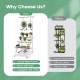 4-tier hanging plant stand with sturdy metal frame, trellis, and 360° swiveling wheels for easy mobility and display.