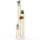 Indoor metal plant stand showcasing a golden frame and white shelves, ideal for stylish plant arrangement in small.