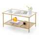 2-tier coffee table with a golden frame and tempered glass top, perfect for stylish storage in home or office settings.