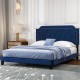 Queen size velvet bed frame with button tufted headboard and nailhead trim, ideal for stylish bedroom decor.