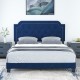 Queen size velvet bed frame with button tufted headboard and nailhead trim, ideal for bedroom or guest room decor.