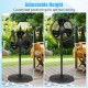 16-inch oscillating pedestal fan with adjustable height, 3 mist levels, and 90° oscillation for outdoor patio cooling.