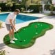 Golf practice putting green mat, 5 x 10 feet, with 3 holes and golf balls, perfect for backyard or home office use.