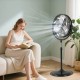 High-velocity 20-inch pedestal fan in black with adjustable height, providing powerful airflow for effective cooling.