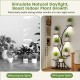 Indoor plant stand with grow lights, 58" tall, 8-tier metal shelf for displaying potted plants in living rooms or.
