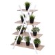 X-shape 4-tier display shelf rack with plants, made of bamboo for sturdy storage and modern decor.