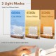 Vanity mirror with 18 dimmable LED bulbs showcasing 3 color lighting modes for versatile makeup application.