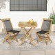 Two Indonesia teak patio folding chairs with woven rope seats and a stylish table, perfect for backyard or poolside use.