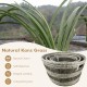 Natural canes grass storage basket set of 3 with hollowed handles, elegant design for organized living spaces.