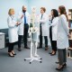 Life-size human skeleton model with detachable skull cap and movable jaw, ideal for anatomy study and education.