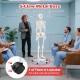 Life-size human skeleton model with 5-claw metal base and wheels, ideal for medical schools and anatomy learning.
