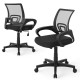 Mid-back mesh office chair with lumbar support, ergonomic design, and adjustable height for comfort in home or office.