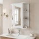 Mirrored bathroom medicine cabinet in white with a sleek design, showcasing side shelves for organized storage and display.