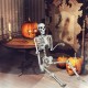 5.4-foot Halloween skeleton sitting beside pumpkins, ideal for eerie indoor decorations and enhancing Halloween.