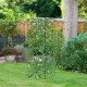 Foldable A-frame trellis plant supports in green, ideal for climbing plants in gardens or raised beds.