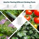 Foldable A-frame trellis supports for climbing plants, made of sturdy steel, ideal for fruits, vegetables, and flowers.