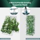 Foldable A-frame trellis plant supports in green, featuring a sturdy steel frame for climbing plants in gardens or.