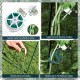 A-frame trellis plant supports in green with twist ties and clips for securing climbing plants in the garden.